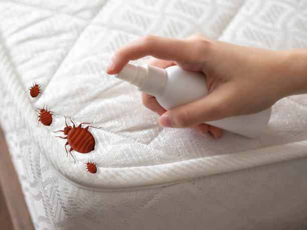 Best Pest Control for Multi-Family Homes  in Port Allen, LA